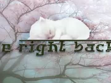 SleepyHeadCat